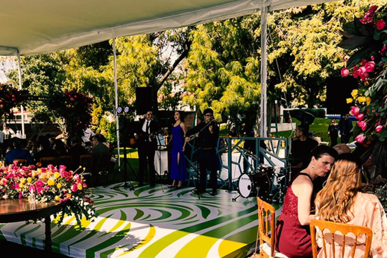 Paquete 2 linea oro DJ